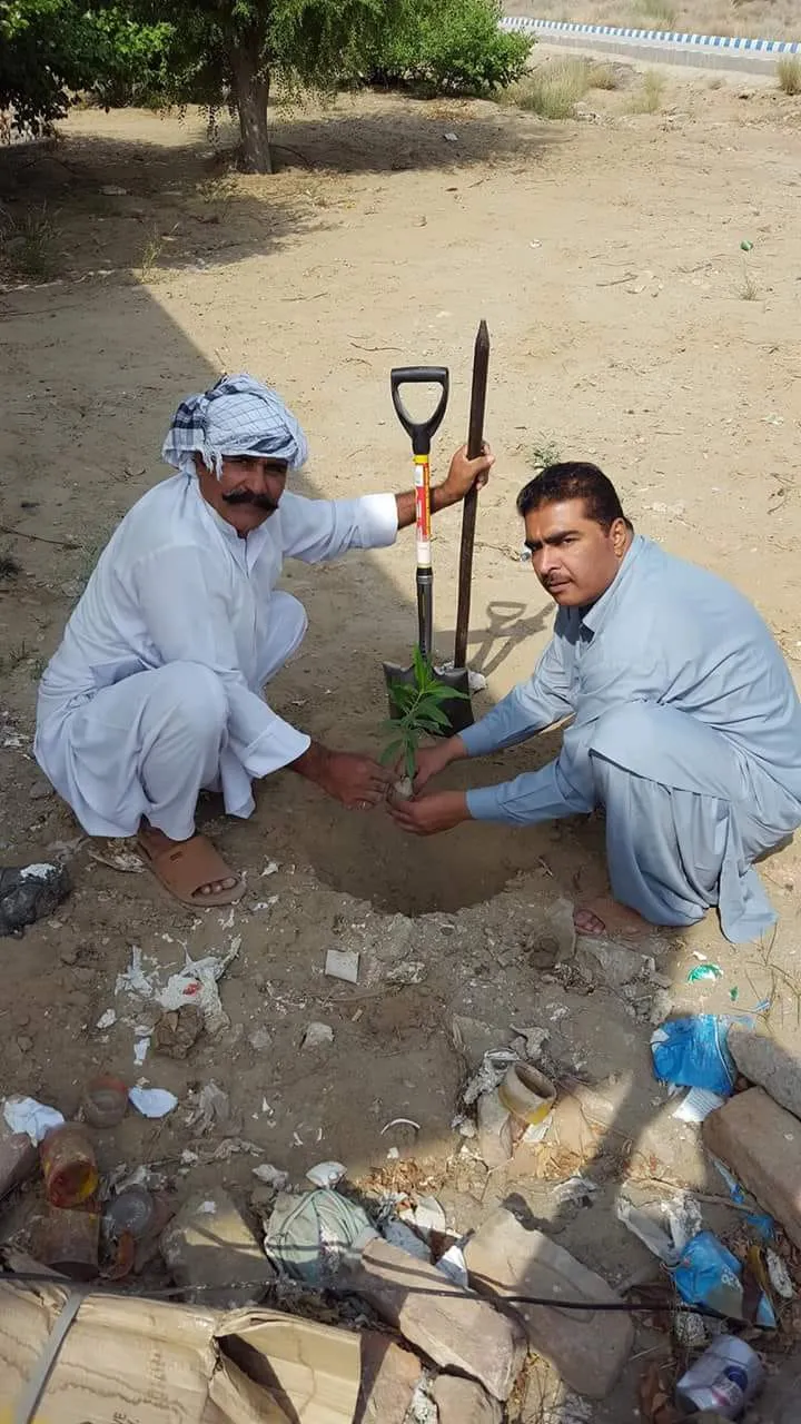 Green Seekers Activity